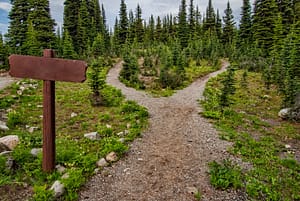 which path to take?